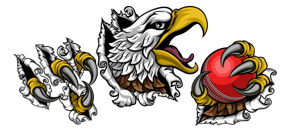 Bald Eagle Hawk Ripping Cricket Ball Mascot Stock Illustration