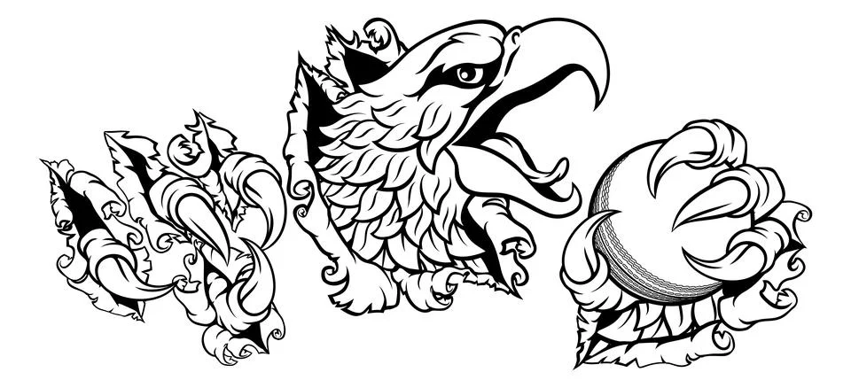 Bald Eagle Hawk Ripping Cricket Ball Mascot Stock Illustration
