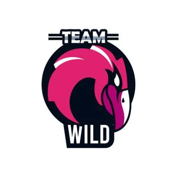 Bald eagle head animal emblem icon with team wild lettering Stock Illustration
