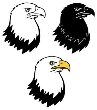 Bald Eagle Head Clipart - Outline, Silhouette &amp; Color Stock Illustration