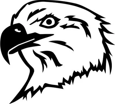Bald Eagle head Stock Illustration