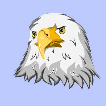 Bald Eagle Head Stock Illustration