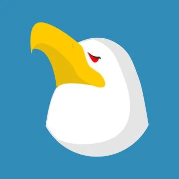 Bald eagle head isolated. Bird an eagles face on white background Stock Illustration