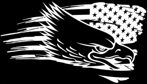 Bald eagle head in white line on black background Stock Illustration