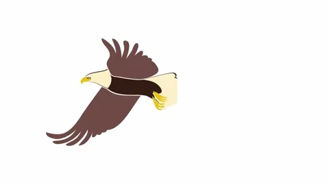 Bald Eagle-icon Stock Footage 278027610