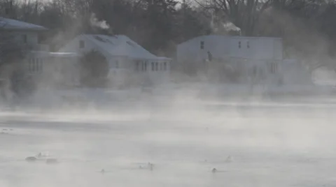 Bald Eagle in Illinois Stock Footage 33895516