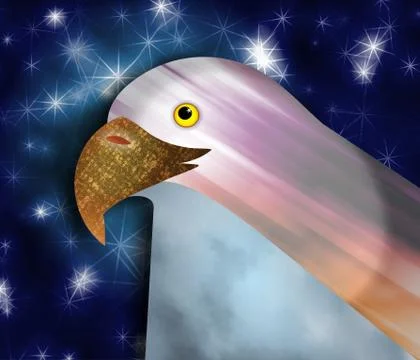 Bald Eagle Stock-Illustration