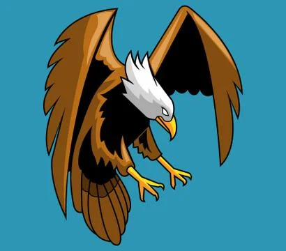 Bald Eagle Stock Illustration