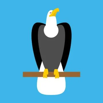 Bald eagle isolated. Big Bird symbol of America Stock Illustration
