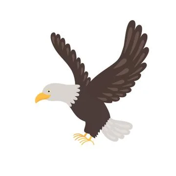 Bald eagle isolated on white background. Stock Illustration