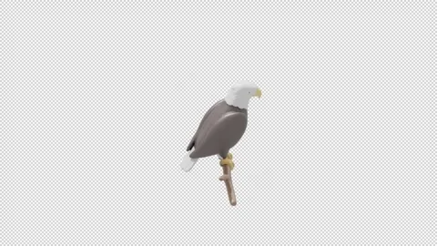 Bald eagle - Loop Alpha HD ProRes Stock Footage 328354542