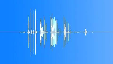 Bald Eagle Mc Calls Sound Effect
