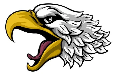 Bald Eagle or Hawk Mascot Head Face Cartoon Illustrazione stock