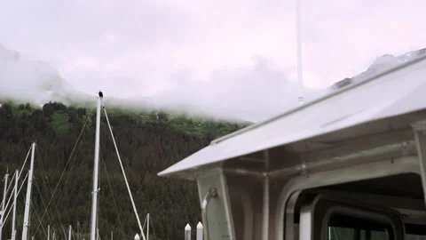 Bald Eagle overlooks Seward Bay, Alaska Video stock 200007439