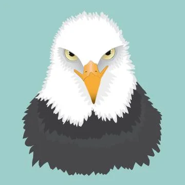 Bald eagle portrait Illustrazione stock