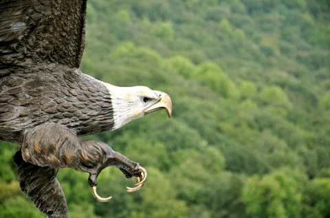 Bald Eagle Sculpture 写真素材