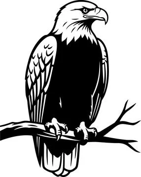Bald Eagle Silhouette Perched on Tree Branch Stock Illustration