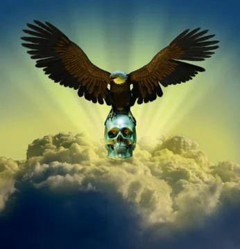 Bald Eagle with Skull Stock Illustration