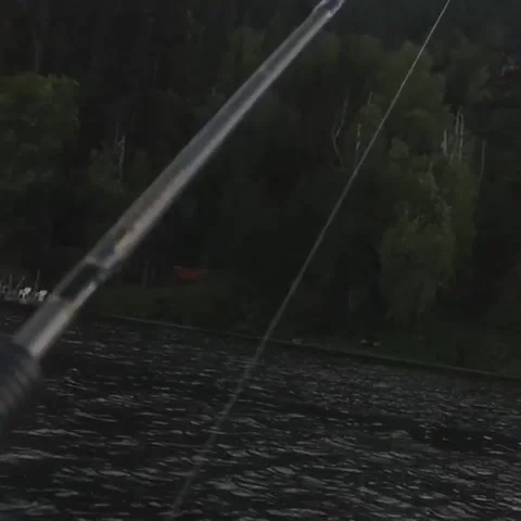 Bald Eagle Snatches Catch, Pinantan Lake, British Columbia, USA - 18 Jun 2019 Stock Footage 205211320