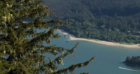 Bald eagle soaring above Gastineau Channel, Juneau, Alaska. Stock Footage 334616268