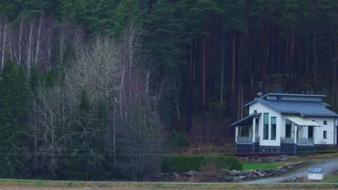Bald eagle soaring above a lake with a forest in the background. Stock Footage 321744158