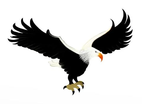 Bald Eagle Soaring in Sky Stock Illustration