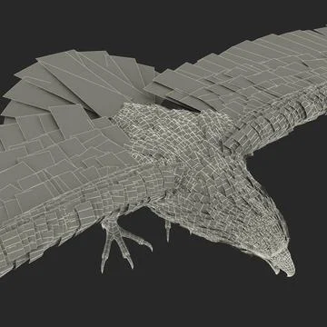 Bald Eagle Static ~ 3D Model ~ Download #91432878 | Pond5