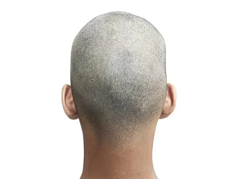 Bald man back view, on white background Stock Photos