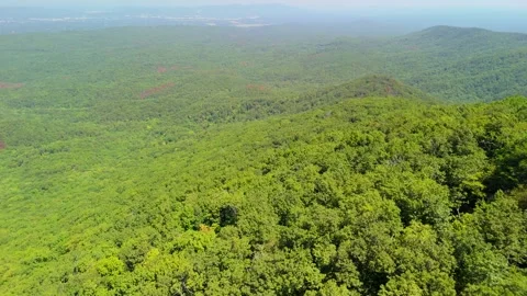 Bald Rock, Cheaha State Park Stock Footage 289625957
