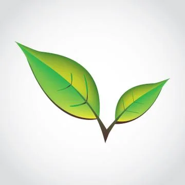 Balda temp Stock Illustration