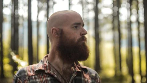 Baldie Stock Photos