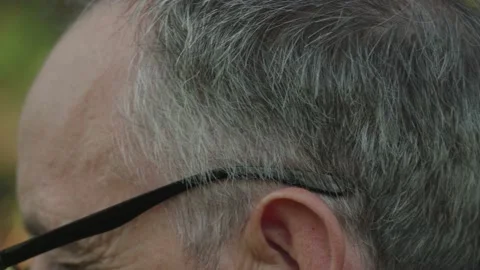 A balding gray-haired man.  Stock Footage 162751819