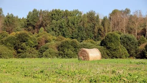A bale in the field Stock Photos