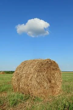 Bale of hay in field Stockfoto's