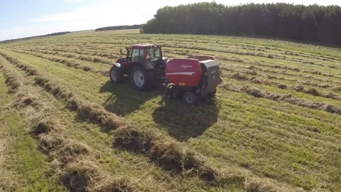 Bale hay Stock Footage 83624437