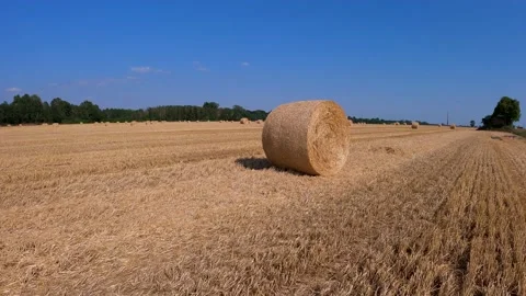 Bale of hay Stock Footage 209949866