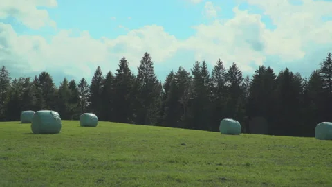 Bale of hay on meadow Stock Footage 144458225