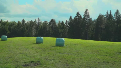 Bale of hay on meadow Video stock 144472885