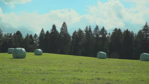 Bale of hay on meadow Stock Footage 144473565
