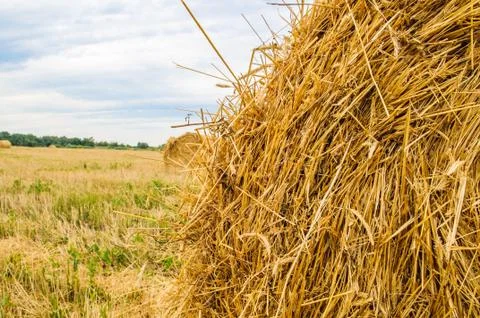 A bale of hay Fotos Stock