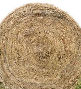 Bale of hay Stock Photos