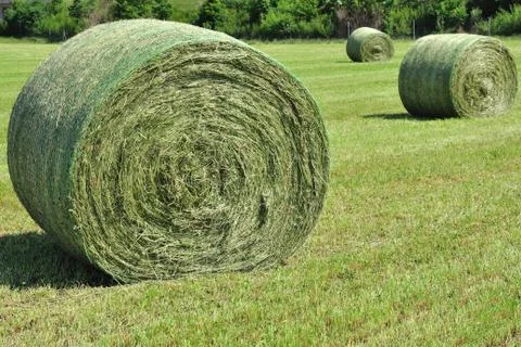 Bale of hay Stock Photos