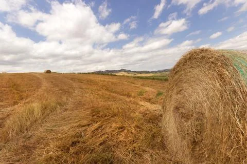 Bale of hay Stock Photos