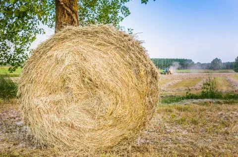 Bale of hay Stock Photos