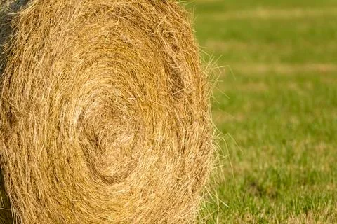 Bale of hay 스톡 사진