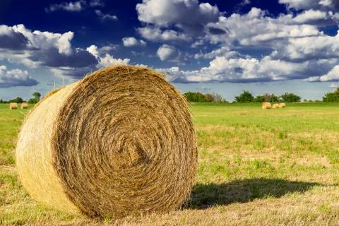 Bale of hay Photos