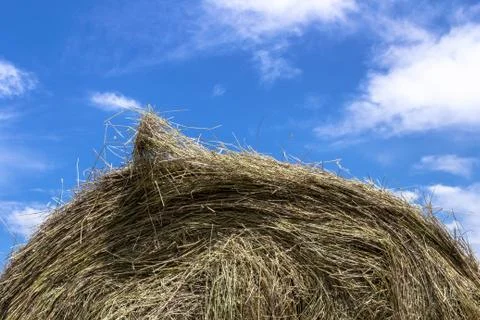 Bale of hay Stock Photos