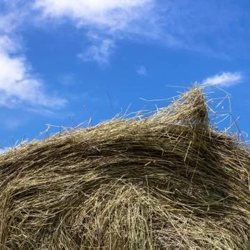 Bale of hay Stock Photos