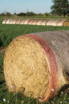 Bale of hay Stock Photos