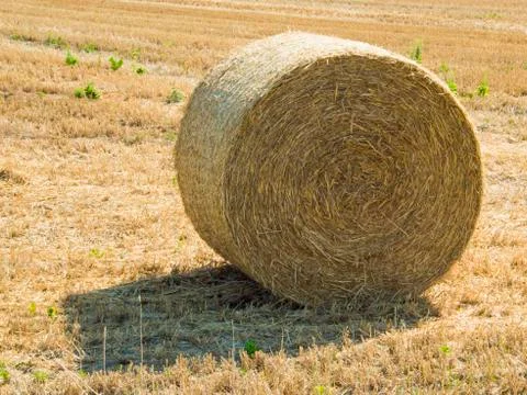 Bale of hay Stock Photos